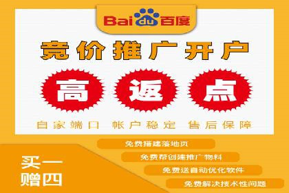 百度SEM代运营案例详解：广告策略与执行